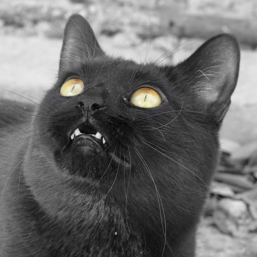 Jennifer Kempf Photo 2