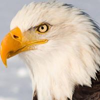 George Gruber Photo 8