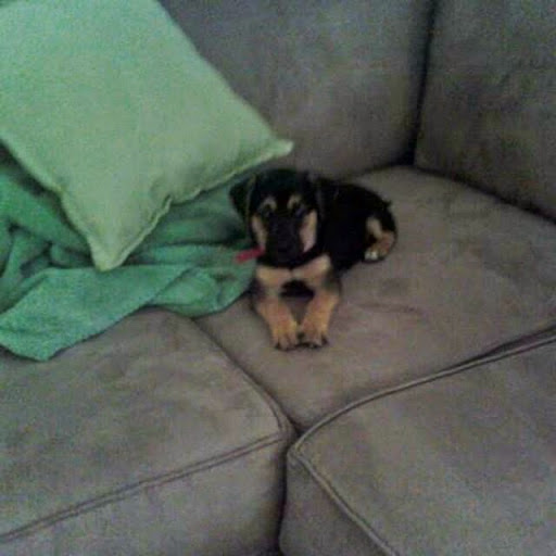 Patsy Mitchell Photo 13