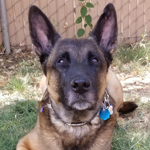 Cheryl Sheppard Photo 27