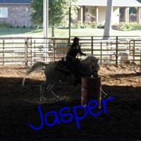 Michelle Chartier Photo 11