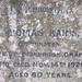 Thomas Rains Photo 18