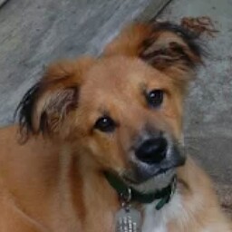 Christopher Keil Photo 11