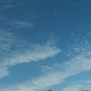 Frank Carter Photo 18