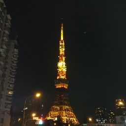Tina Liu Photo 39
