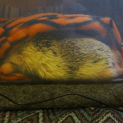 Anna Fischer Photo 20