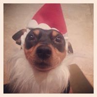 Michelle Workman Photo 42