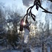 Robert Pennington Photo 9