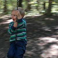 Brian Hendrix Photo 24