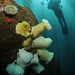 Jim Shine Photo 19