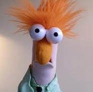 Gordon Casey Photo 23