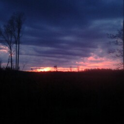 Joshua Crowe Photo 10