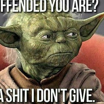 Shane Mcdowell Photo 15