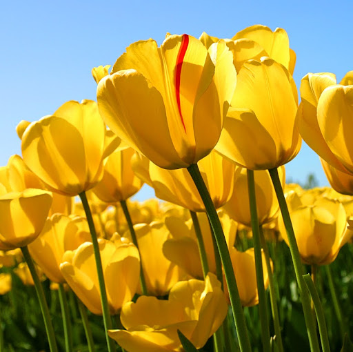 Pam Richardson Photo 34