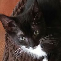 Karen Morrow Photo 25 Karen Morrow Photo 25