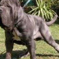 Rowan Brown Photo 14