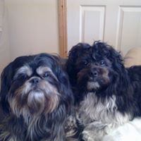 Paula Mooney Photo 25