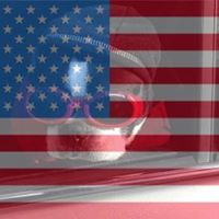 Debra Burris Photo 26