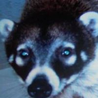 Dawn Dotson Photo 18