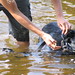 Susan Houghton Photo 27