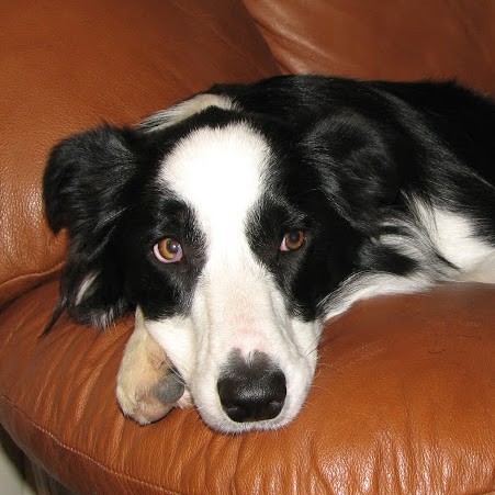 Bob Jorgensen Photo 13