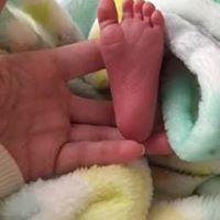 Susan Grady Photo 19