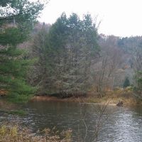 Kristine Groff Photo 1