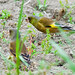 Dan Finch Photo 8