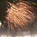 Robin Wolf Photo 1