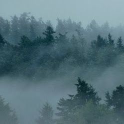 Christina Winters Photo 22