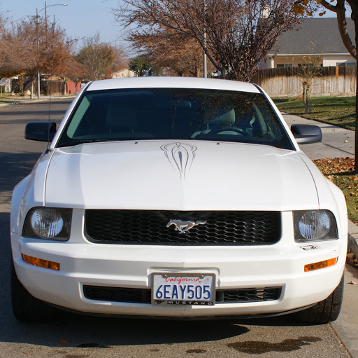 Juan Galindo Photo 38