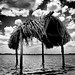 Jose Amador Photo 30