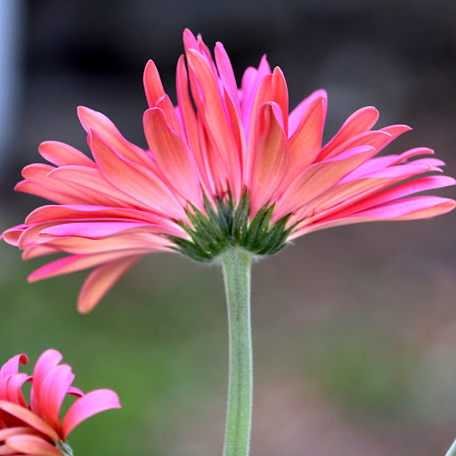 Rachel Powell Photo 15