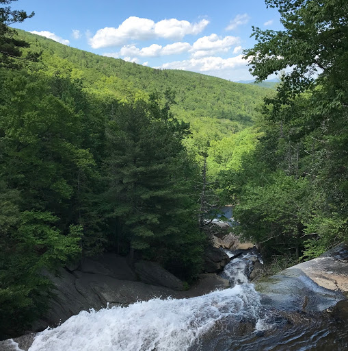 Steven Simmons Photo 43