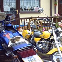 Frederick Potts Photo 13