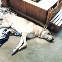 Jimmy Simon Photo 14