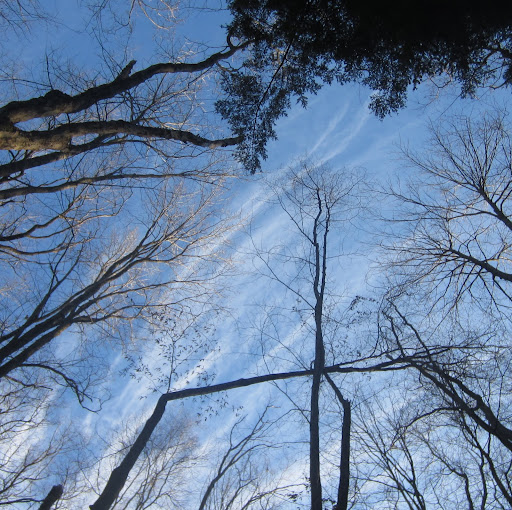 Marilyn Bowman Photo 2