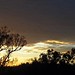Alison Joiner Photo 9