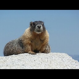 Kathy Hopkins Photo 7