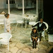 Bruce Lamb Photo 28