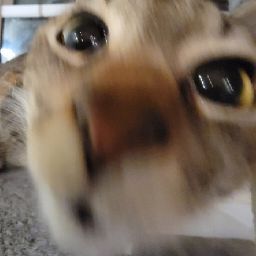 Jesse Summers Photo 7