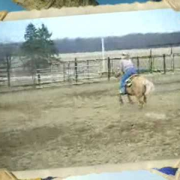 Carolyn Morrow Photo 1