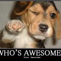 Patricia Starr Photo 15