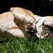 Ruth Hurt Photo 15