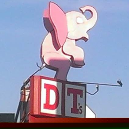 Michael Hankins Photo 37