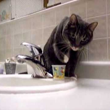 Jerry Campbell Photo 31