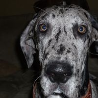 Megan Rutledge Photo 25