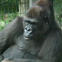 Dennis Rupp Photo 12
