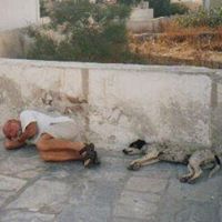 Ian Stevens Photo 25