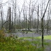Beverly Flood Photo 17